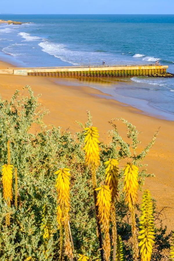 Beach Studio In Albufeira'S Old Town Exterior foto